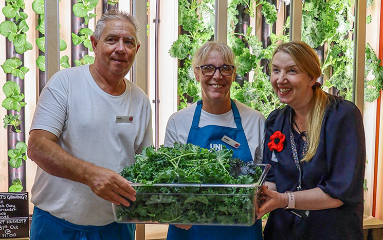 Three staff holding a big tub of kale