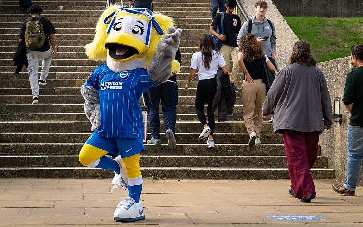 Sally Seagull, posing by the steps, having fun on campus.