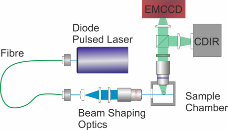 SPIM optical layout