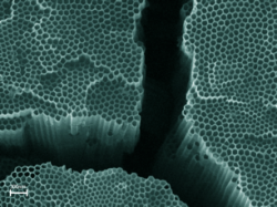 Titania nanotubes for solar harvesting