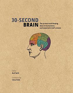 Front cover illustration of the book: The 30 seond brain