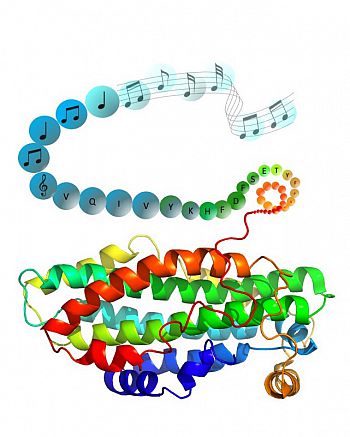 Music notes and science diagrams