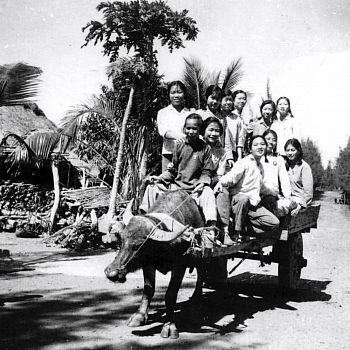 'The ox-cart was the main means of transport'. Taken in 1972 by CHEN Hongbo