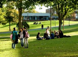 Image of some students sitting under trees - well, what would you use to illustrate this strand of research?