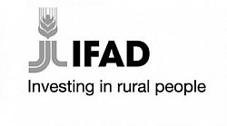 IFAD logo