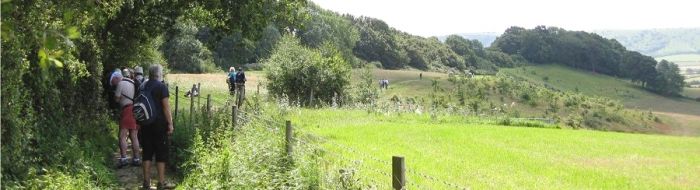 This is a photograph of the London Blind Ramblers Club when hosted by the Mid Sussex ramblers in July 2011. The group is photographed as they walk along a narrow path which overlooks the expanse of the South Downs.