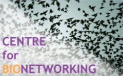 Centre for Bionetworking logo