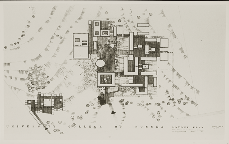 image of university college of sussex layout plan - pencil drawn in slightly abstract, cubist style