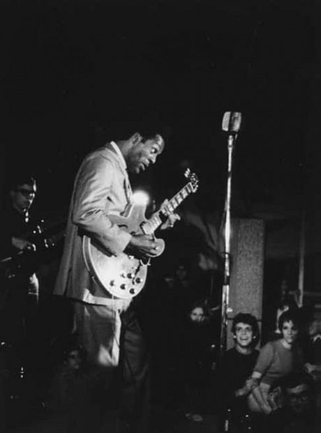 Chuck Berry Live at Sussex