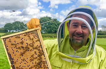 Alumnus Steve Donohoe with his bees