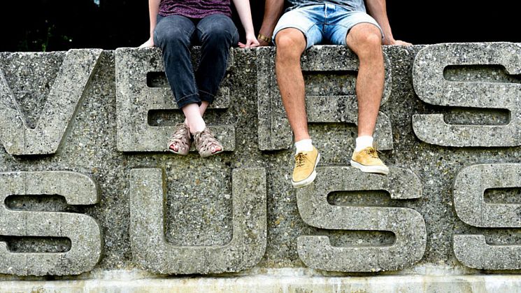 Students sitting on the Sussex Fund sign