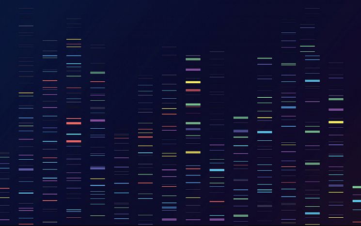 graphical representation of DNA code shown as multiple coloured bars on a dark blue background