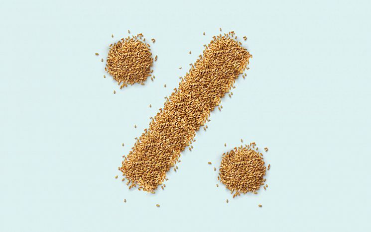 Grains of wheat shaped into a percentage symbol on a pale blue background