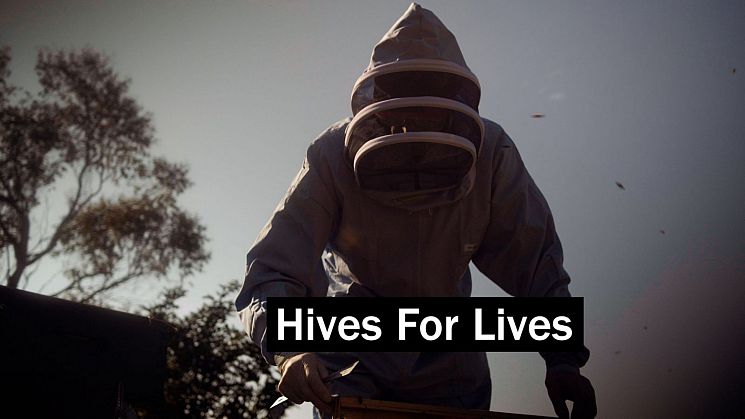 Beekeeper in beekeeper's outfit with bees flying around