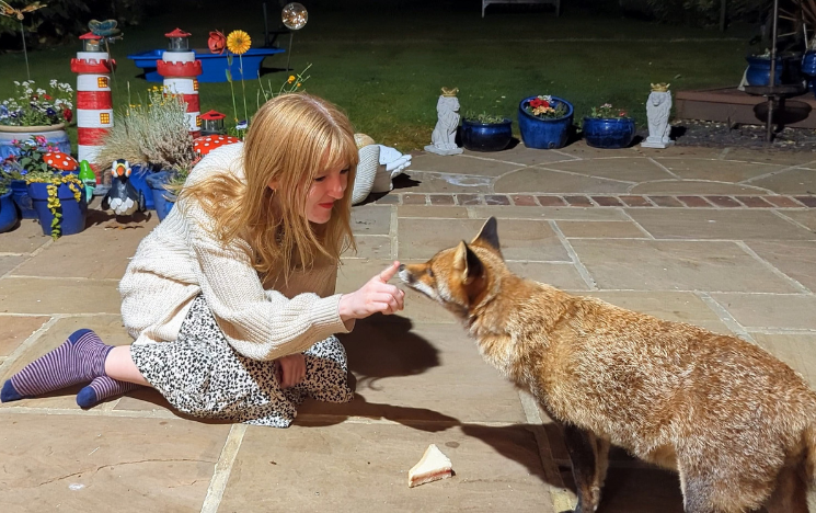 Lucy Goacher interacting with a fox in a garden. Lucy is sat on the floor with her finger on the fox's nose. Beside them is half a sandwich for the fox to eat.