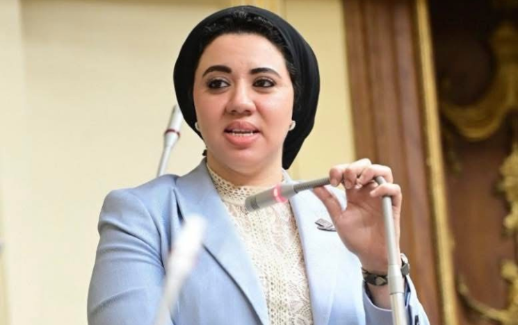 Amira Saber standing in front of a microphone in the Egyptian Parliament Hall.