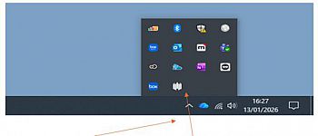 Arrows pointing to show where the Sentinel One icon displays