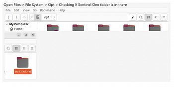 Image showing folder with Sentinel One displayed below