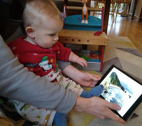 Infant looking at Berman nature images on ipad