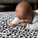 Etta Loves Dalmation play mat 2