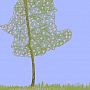 Amaris Knapp-Tabbernor (14) from Eastbourne: 'The lone blossom tree'
