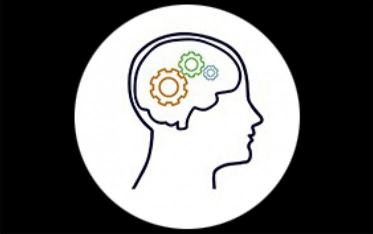 Human brain