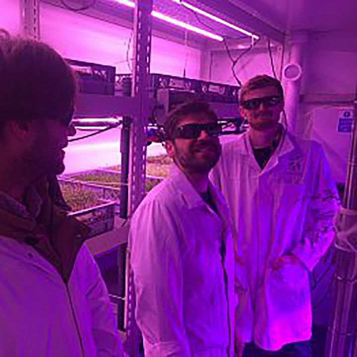 Scientists in a growing facility with pink light
