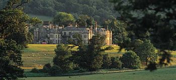 Wiston 1