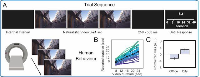 trial sequence images