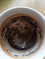 Professor Newell's mouldy yet beautiful coffee mug