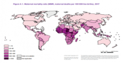 WHO et al (2019) Trends in Maternal Mortality: 2000-2017