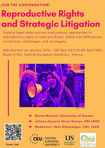 Reproductive Rights Strategic Litigation Poster