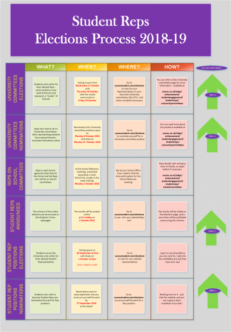 Diagram showing the election structure for Student Reps