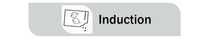 Image icon for RDP Induction
