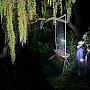 two people standing under a willow tree at night with a piece of scientific equipment to measure bat movement