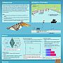 Academic Poster by Alice Clark - COST-EFFORT ANALYSIS OF BRUV AND eDNA IN MONITORING MARINE ECOLOGICAL COMMUNITIES