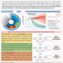 Academic poster by Ahmad Ali Shariati - Developing a Regime of States’ Responsibility for Greenhouse Gas Emissions in International Law