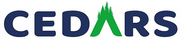 CEDARS in navy blue except A in green