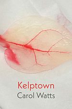 Book cover for 'Kelptown'