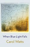 Book cover for 'When blue light falls'