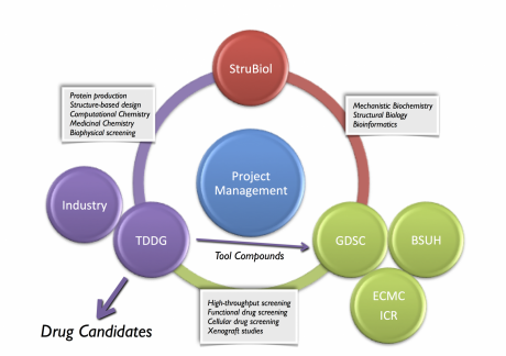 Diagram of Translational Platform