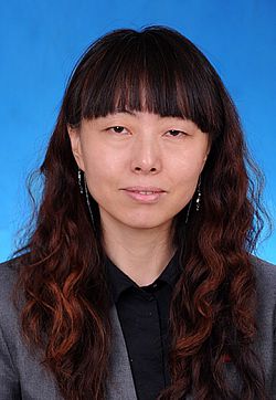 Professor Haiyun Zhang