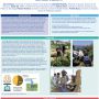 Goulson project poster