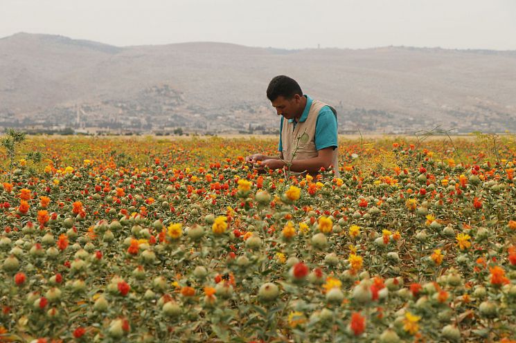 Climate and food insecurity