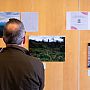 Person looking at photos exhibited as part of our SSRP Day exhibition