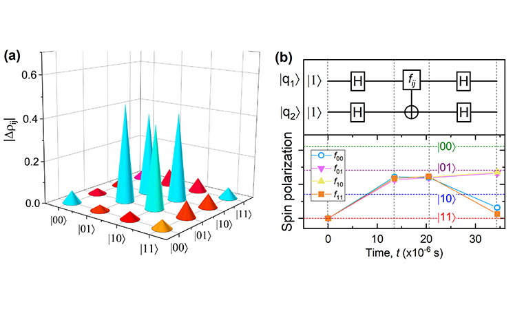 Prototype two-qubit quantum processor running on nuclear spins of a quantum dot