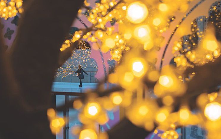 Abstract view of a student seen through fairy lights on a tree