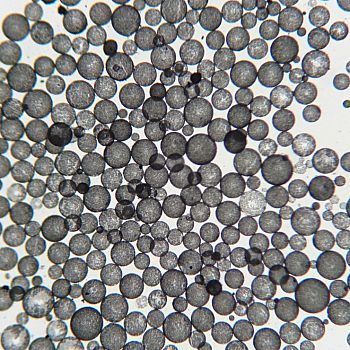 Emulsion of water in oil using graphene