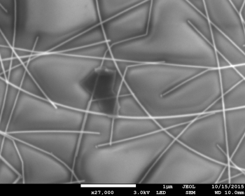 Micrograph of a graphene flake on silver nanowires