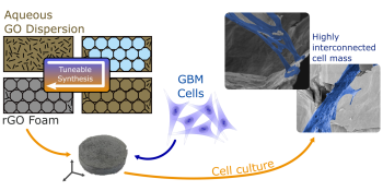 Reduced Graphene Oxide Foams for Cell Scaffolds